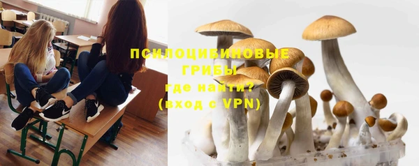 эйфоретик Елизово