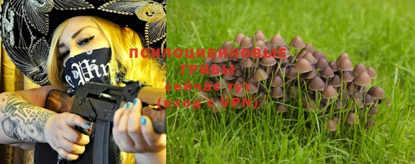 ешки Елабуга